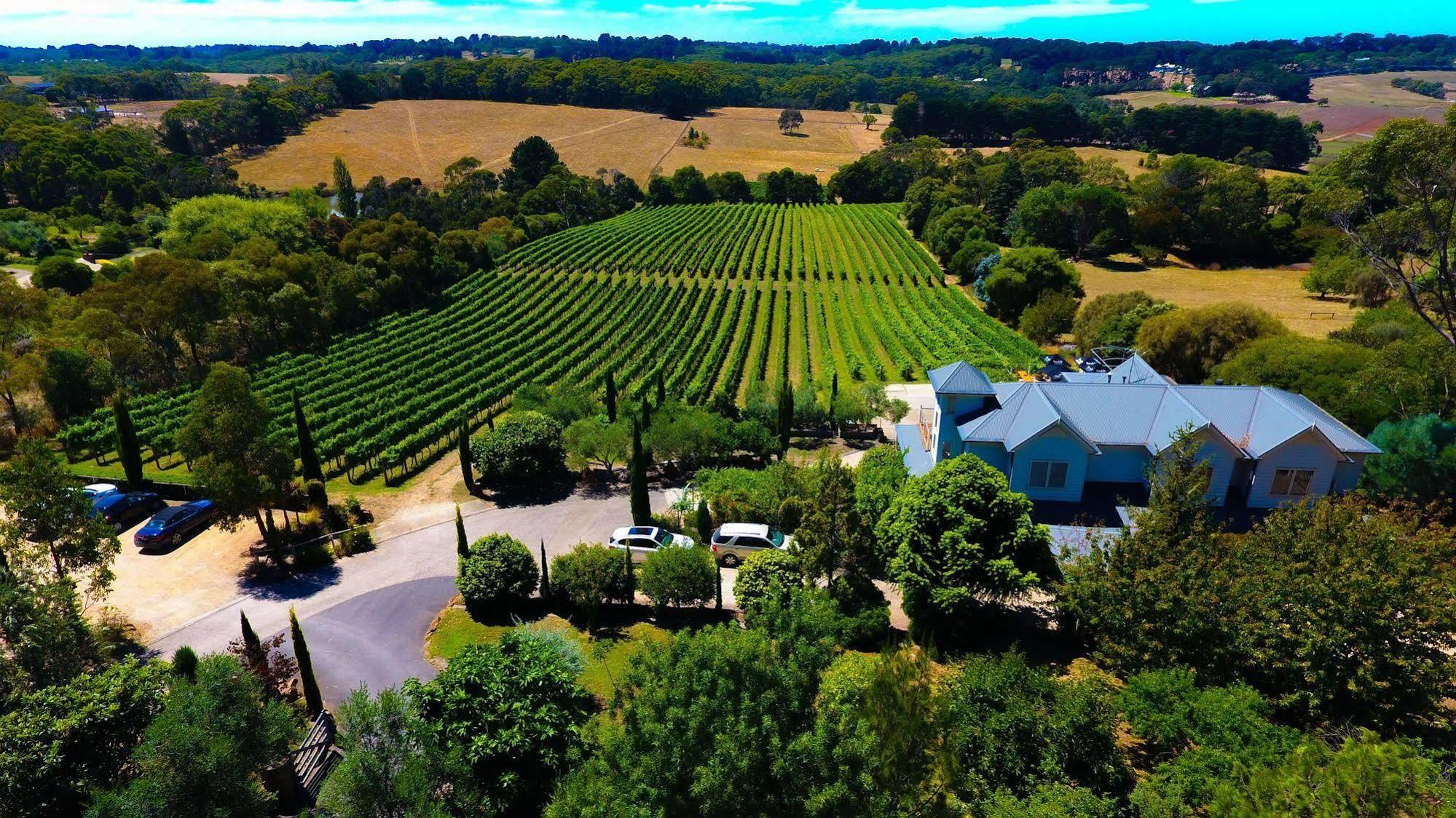 Morning Sun Vineyard Hotel Mornington Peninsula Ngoại thất bức ảnh